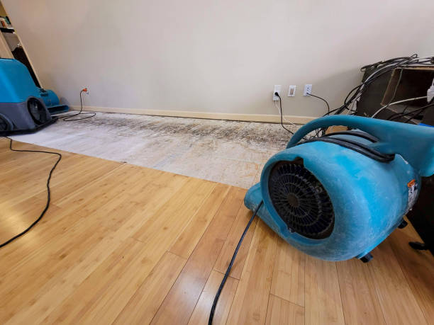 Professional Water Damage Repair technician working in Huntingtown, MD